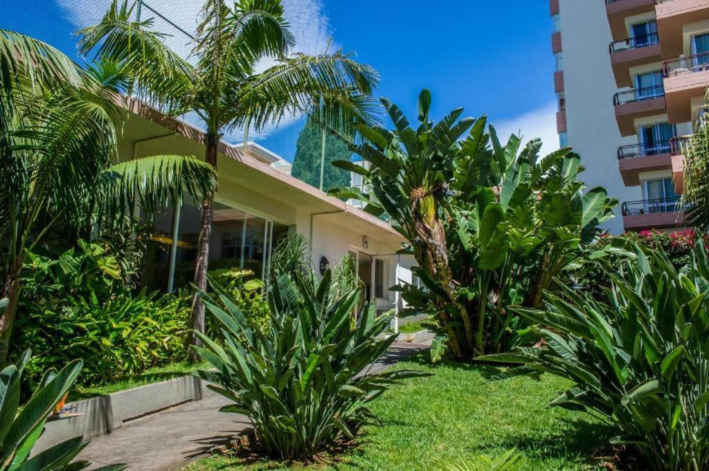 Estudio Vista Mar Triplo Funchal Dış mekan fotoğraf
